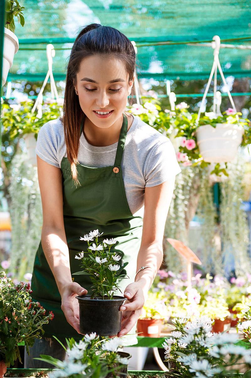 Gardeny about service